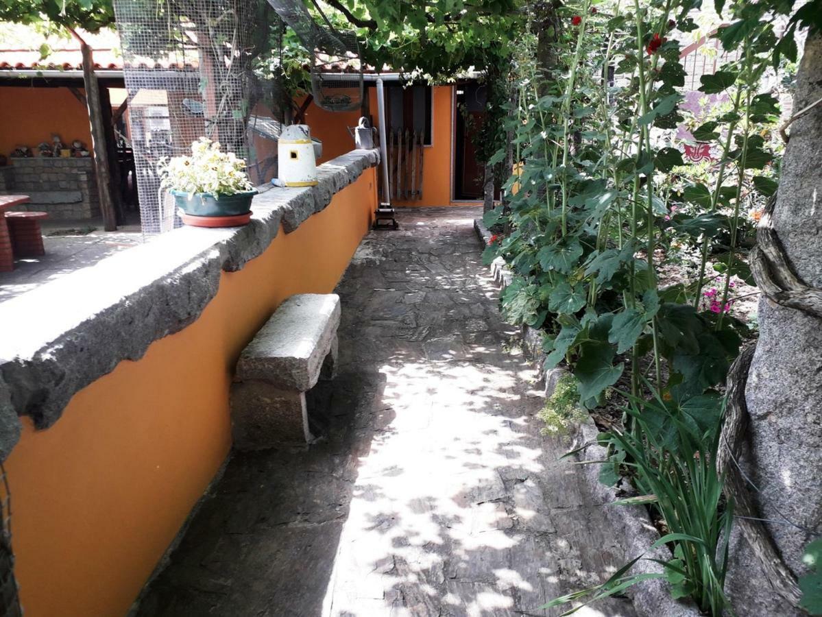 Quinta Da Moagem Villa Macedo de Cavaleiros Exterior photo